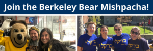 Join the Berkeley Bear Mishpacha